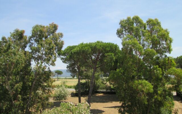 Giannella Holiday Apartment - Giannella Apartment