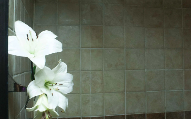 Terracota Suites