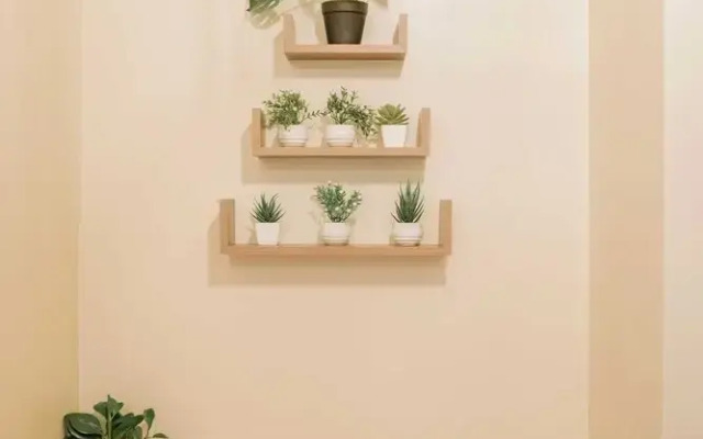 Spacious & Stylish City Haven