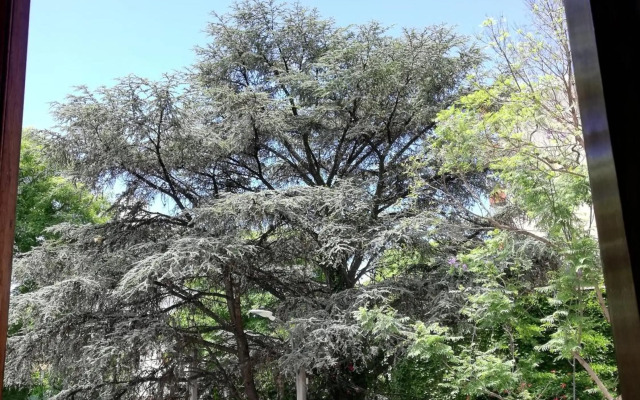 Private Room in Beautiful Home