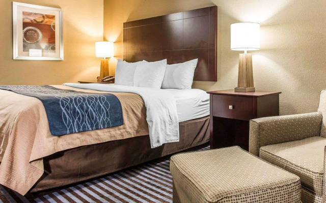 Comfort Inn & Suites Ballpark Area