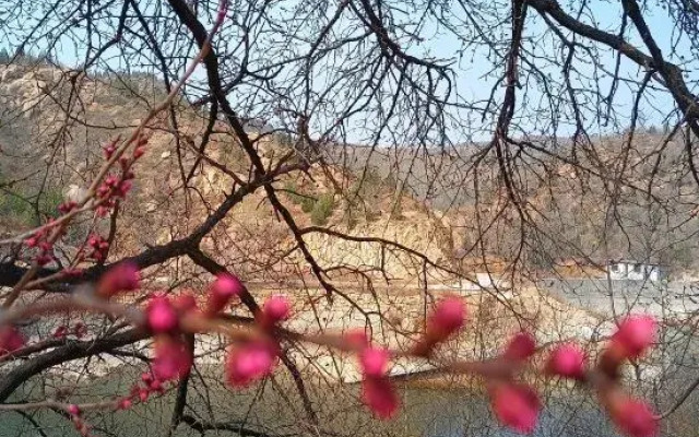 Xibaipo Xiaohang Homestay