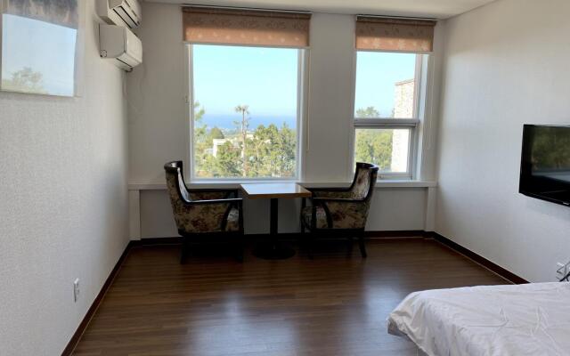 jeju joyhillpension healingzone