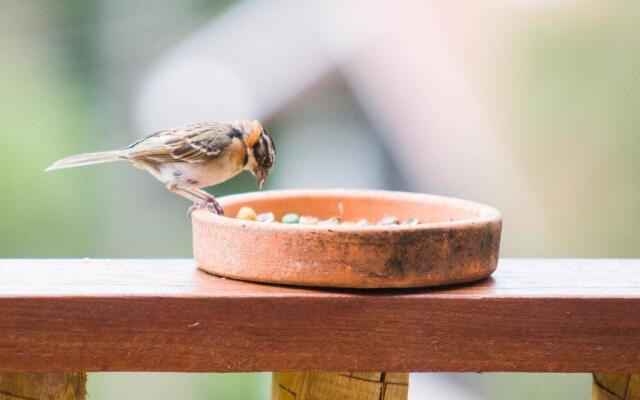 Casa em Monte Verde a 1km da Avenida MV