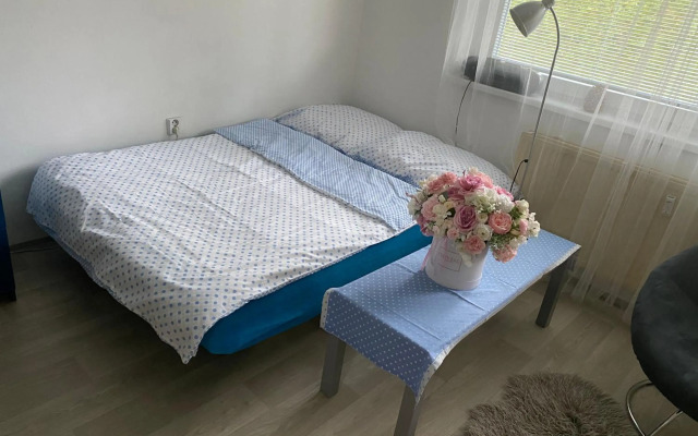 Slunný byt 2 a kk v Jizerkách