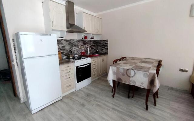 Bakuriani City Apartment 8