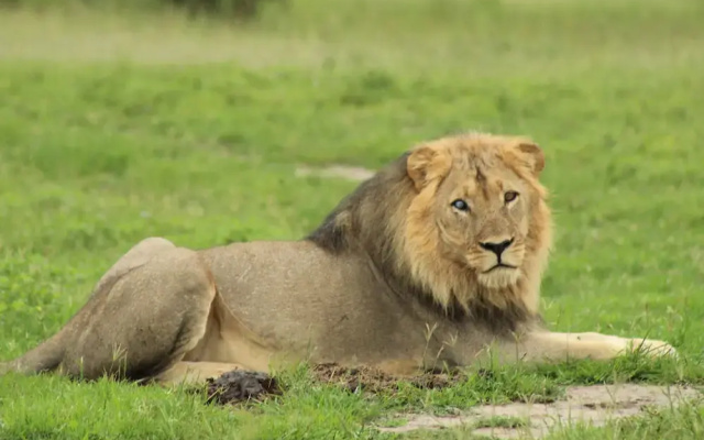 Zimparks Bookings