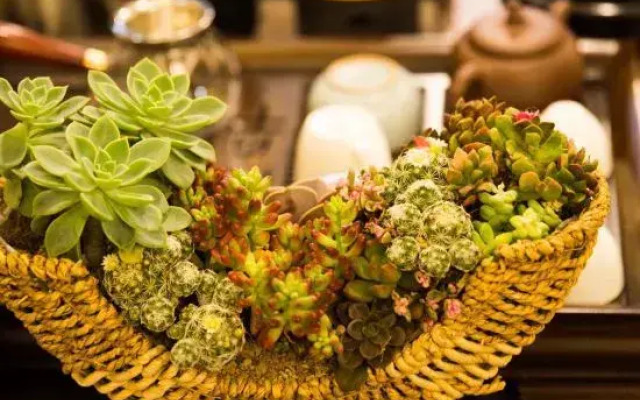 Nanshe Boutique Hostel