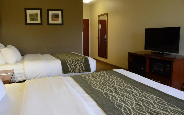 Comfort Inn & Suites Cave City