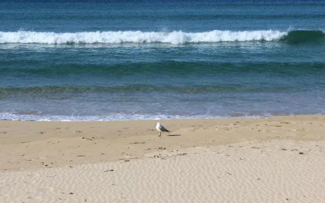 Grandeur Holiday Units