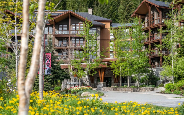 Evolution Whistler