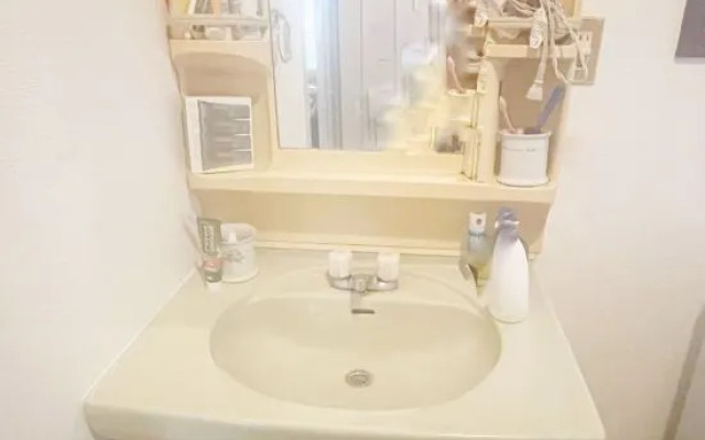 Japanese Room and Living Room in Tokyo Downtown House