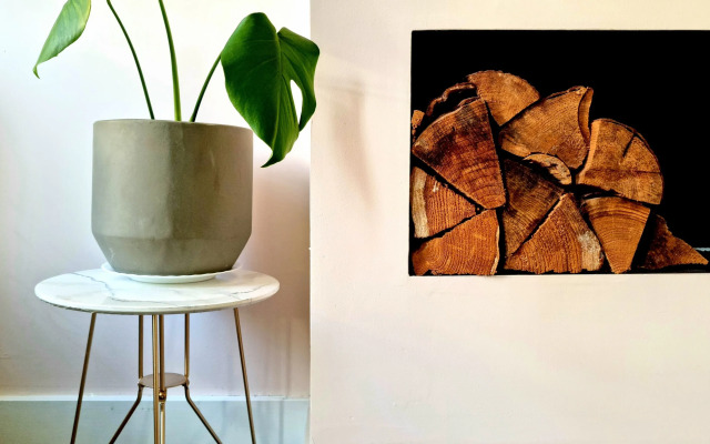 Vibrant Spacious Apartment In West End