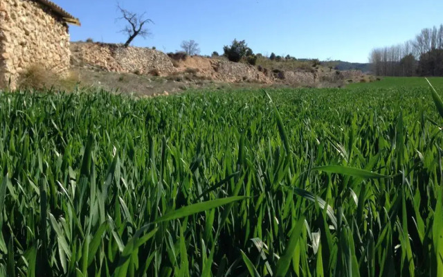 Apartamentos Las Moradas