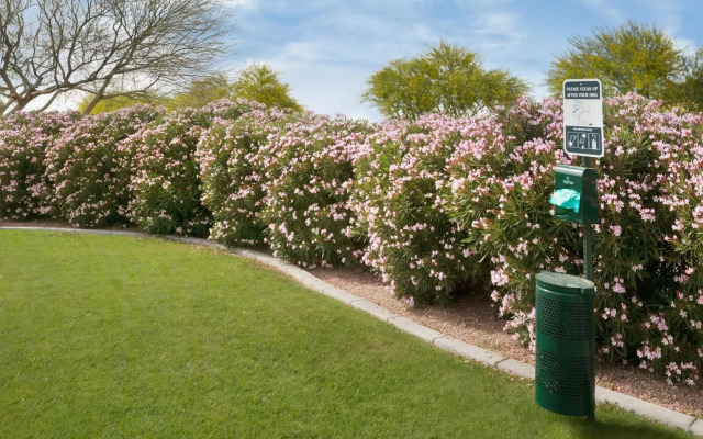 Home2 Suites by Hilton Glendale - Westgate