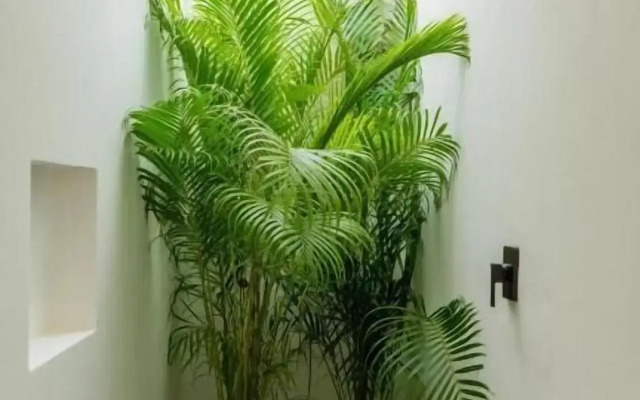 Jungle Lodge Boutique Hotel Adults Only