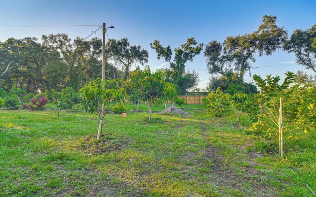 Tropical Tampa Home: Pets Welcome!