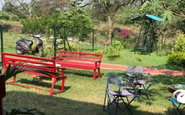 Wild Valley Nature Club