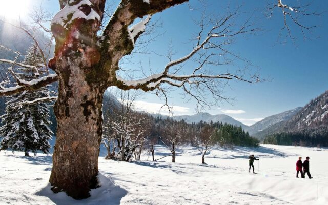 Ruhpolding Family Retreat