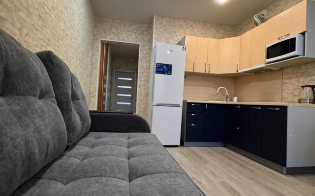 Апартаменты на улице Ломоносова 197