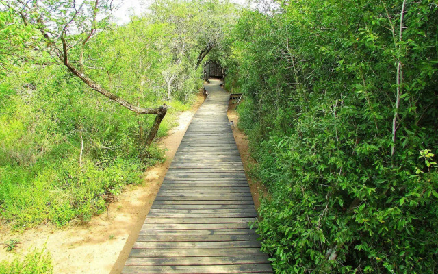Royal Thonga Safari Lodge