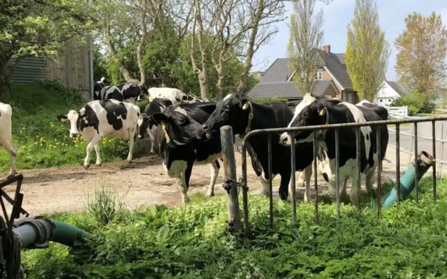 Holiday Apartment Hinrichsen 2