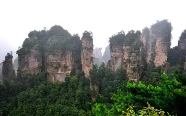 Zhangjiajie Forest Park Qinyuan Hotel