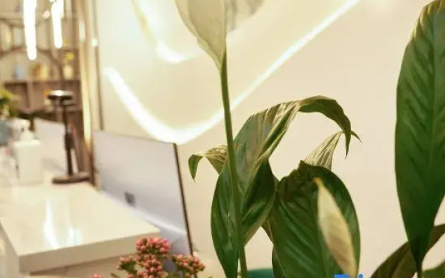 Linyi Lanyuegu Art Hotel