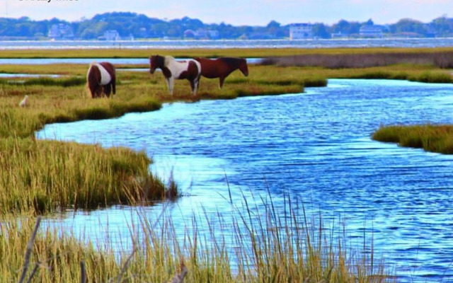 Snug Harbor Marina and Hotel