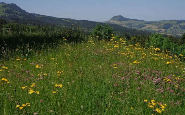 Berggasthof Gurnigelbad