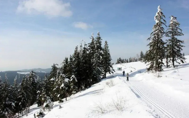 Haus Margot Armbruster