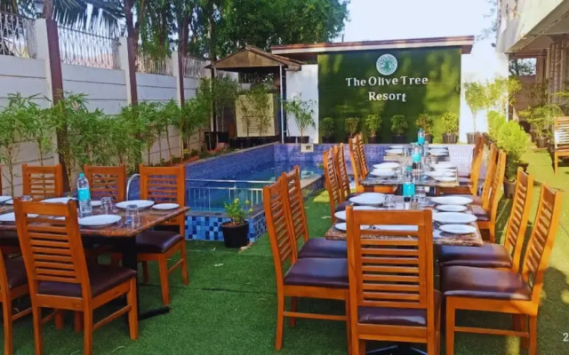 Olive Tree Resort