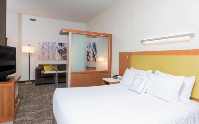 SpringHill Suites Detroit Auburn Hills