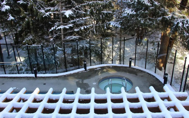 Alpenglow Lodge Studio with Pool Views by MVA