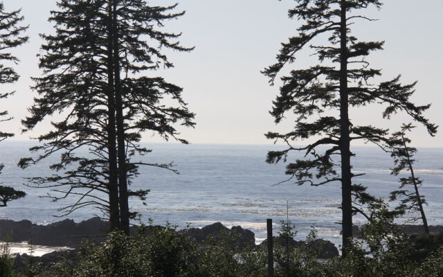 The Ridge by Natural Elements Rentals