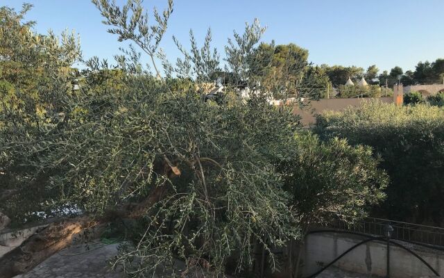 B&B Chiave d'Arco