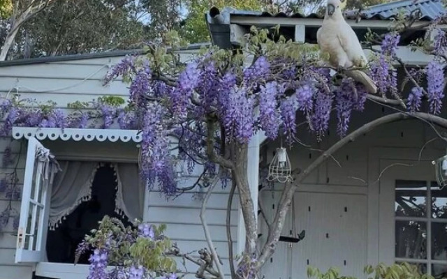 The Old Bakery in Historic Kangaroo Valley Village
