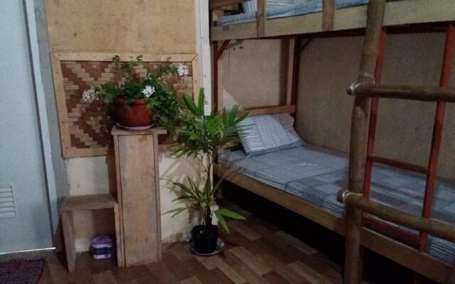 Babu Backpackers Inn - Hostel