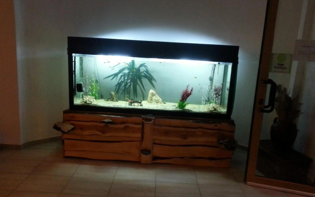 Cabana Trei Brazi