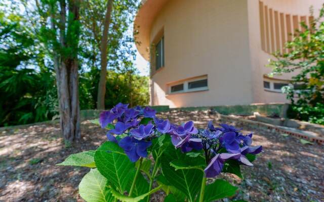 B&B Villa Zola
