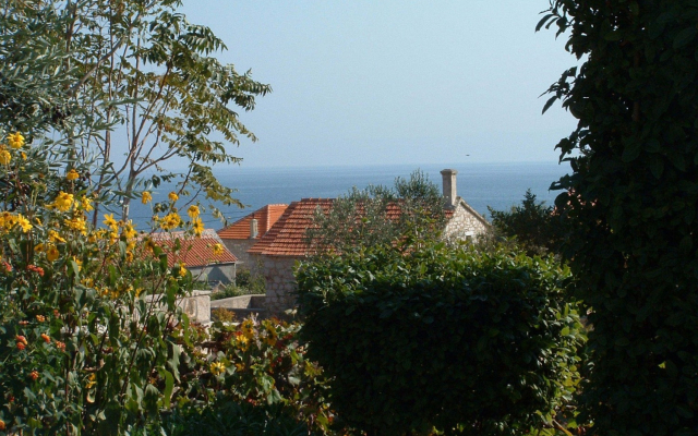 Apartment Sim - 130 m from sea: A1 Zuti Bol, Island Brac