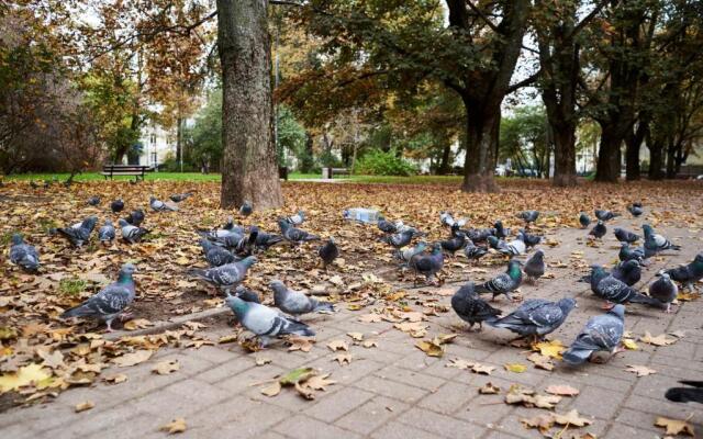 Kwiatowa Warsaw Apartment