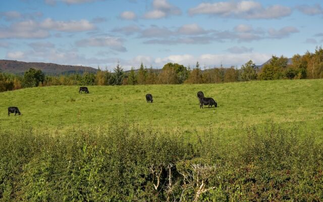 Cardross Estate Holiday Cottages