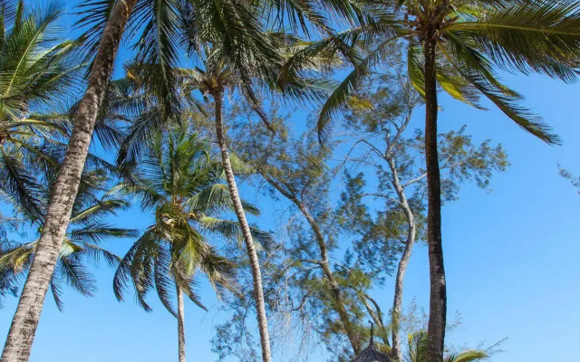 Turtle Bay Beach Club