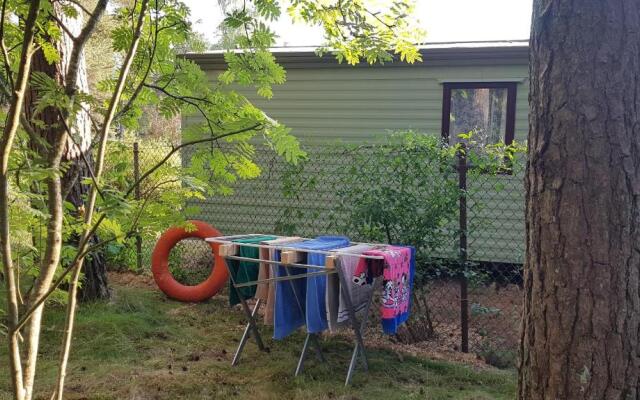 Beautiful holiday home near the pine forest