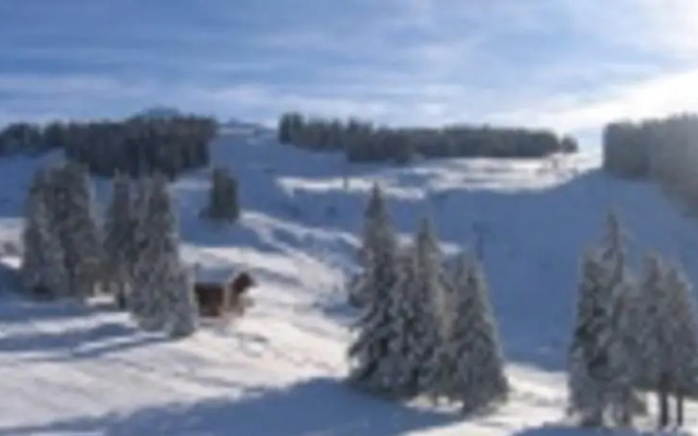 Appartement Edelweiss