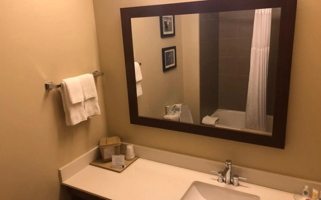 Comfort Inn Early Brownwood