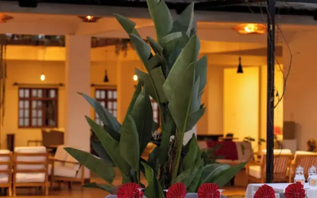Kahawa House