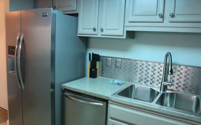 Sand Dollar by Surfside VR