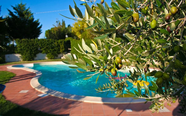 Agriturismo San Vito